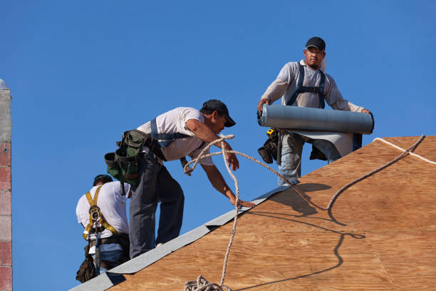 Best Roof Maintenance Services  in Winterset, IA