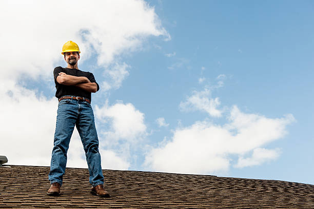 Best Roof Gutter Cleaning  in Winterset, IA