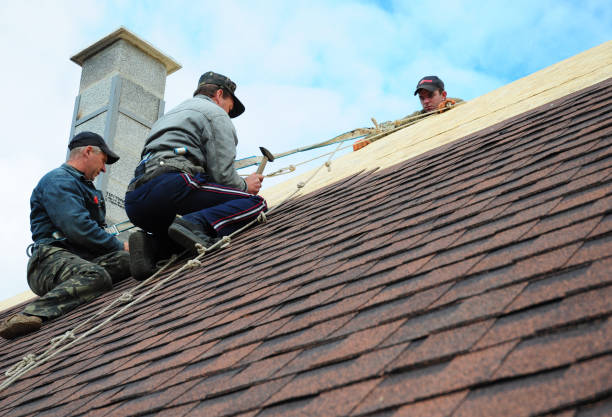 Best Commercial Roofing Services  in Winterset, IA